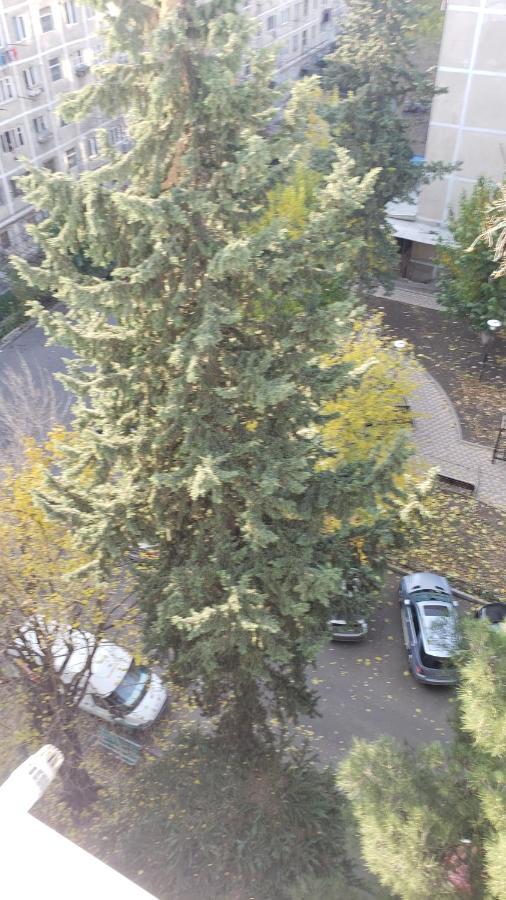 Lovely Apartment Тбилиси Экстерьер фото